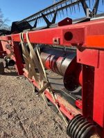 2009 Case IH 2020 30Ft, Header Used, Y2600050 - Image 3